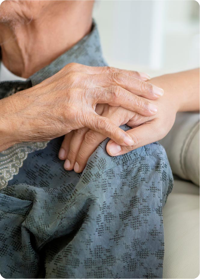 accompagnement personnalisé personnes agees val d'oise 95