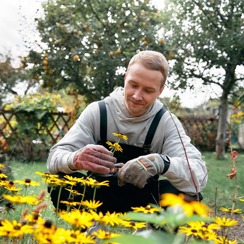 Services jardinage et petits bricolages