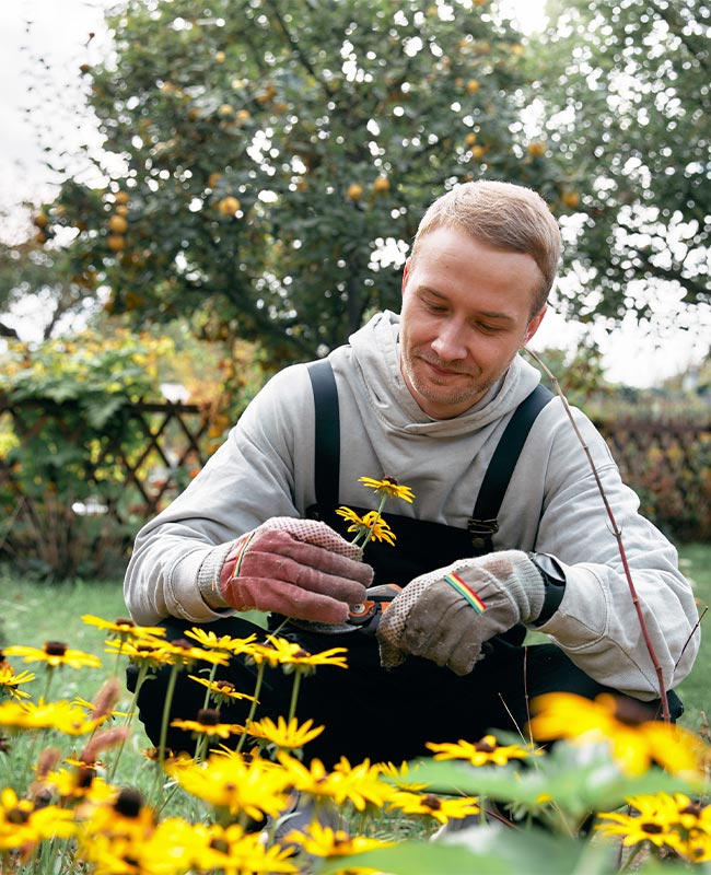 jardinage et petits bricolages